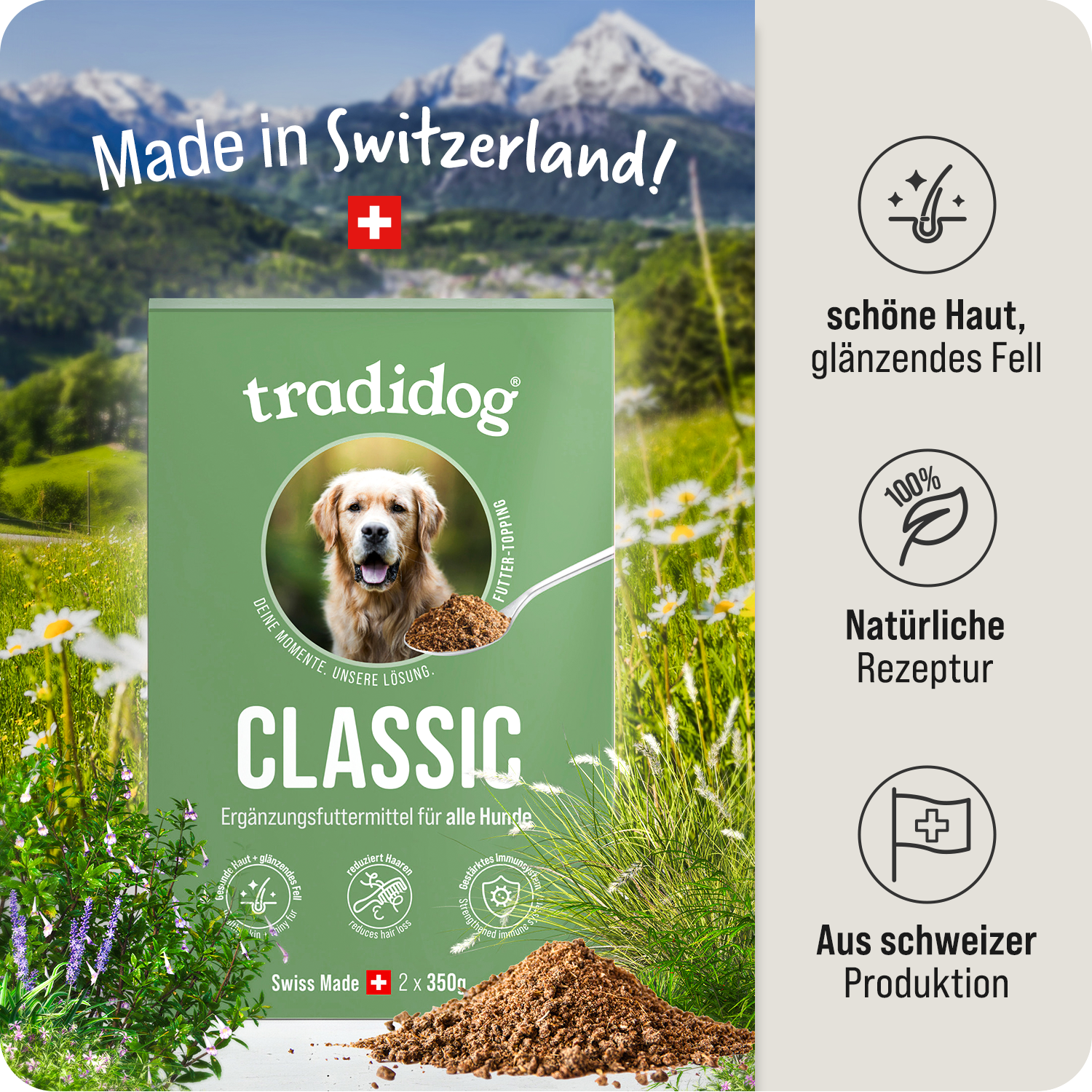 Starter Set - CLASSIC