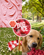 tradidog DOG-ICE Himbeer – Hundeeis – Ansicht 2