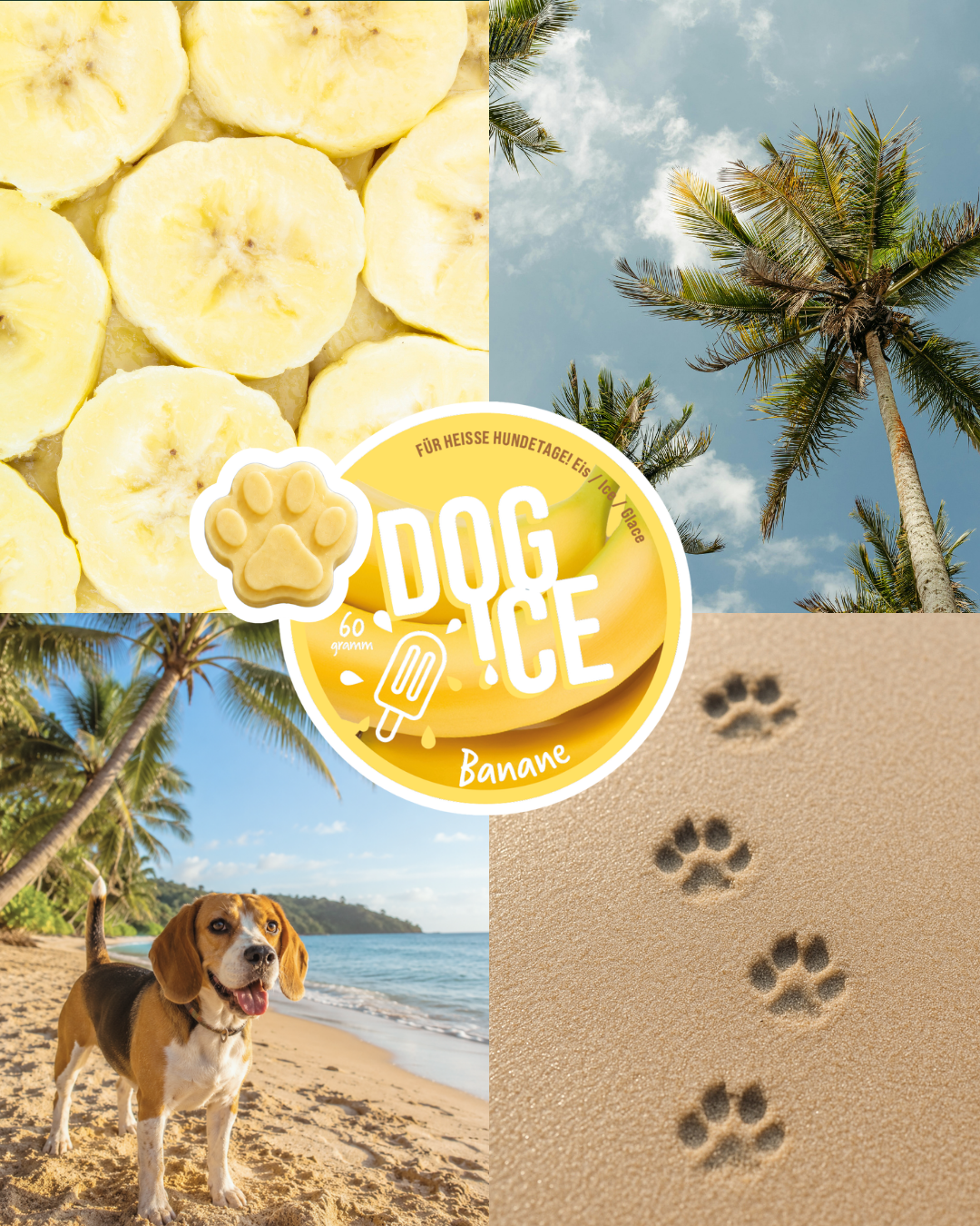 tradidog DOG-ICE Banane – Hundeeis – Ansicht 2